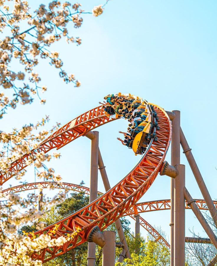 Grand parc d'attractions à tarif CSE