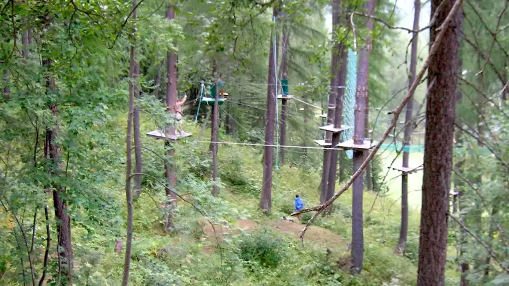 Parcours accrobranche dans les arbres