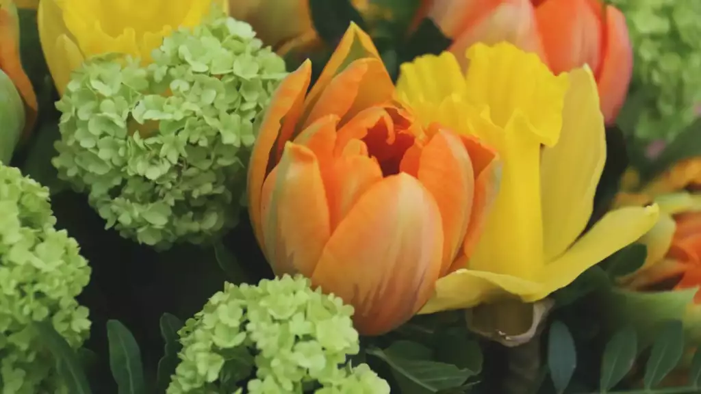 Bouquet de fleurs colorées