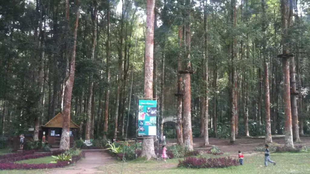 Parcours accrobranche en forêt