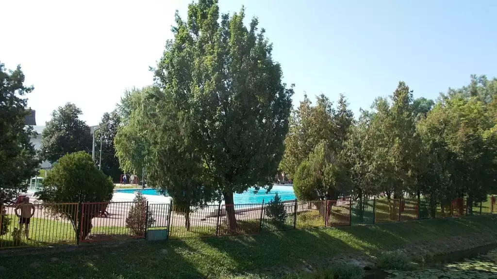 Piscine extérieure
