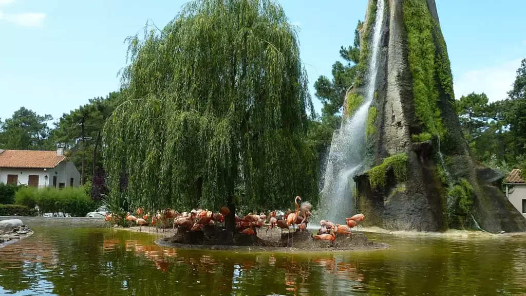 Cascade et flamants roses au zoo de La Palmyre