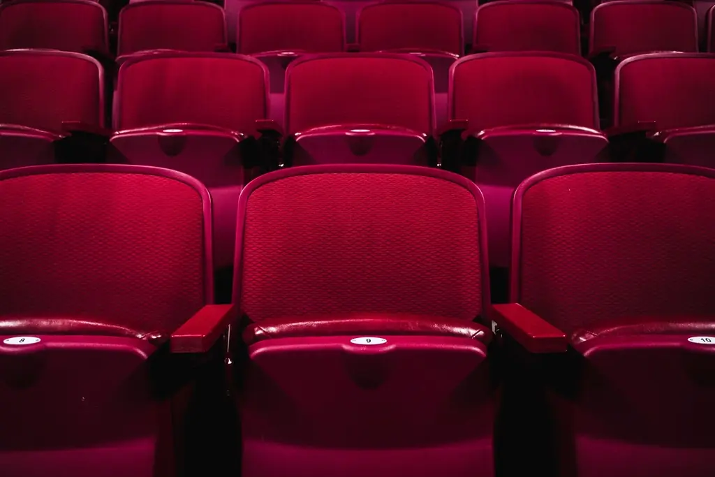 Des fauteuils de salle de spectacle